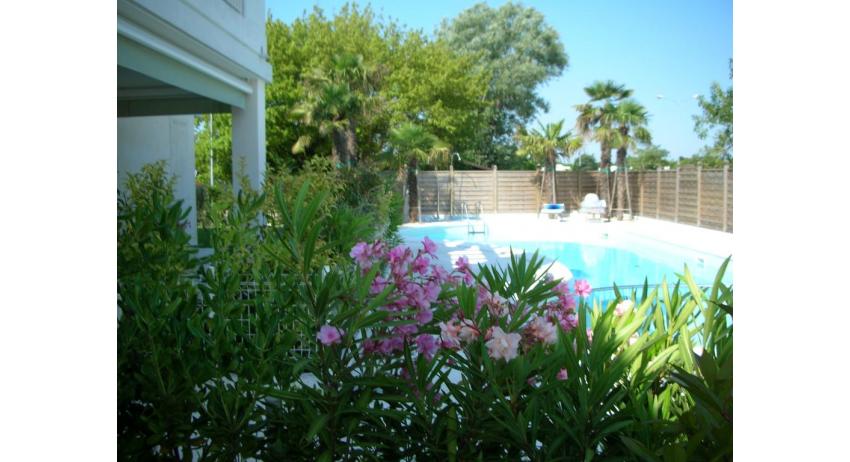 residence LE PALME: C6 - terrazzo vista piscina (esempio)